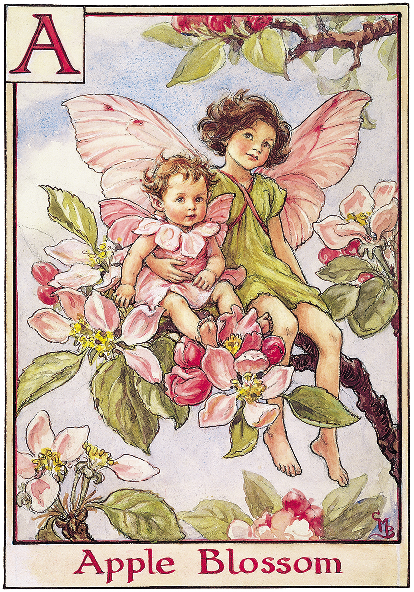 Alphabet Fairies Archives - Flower Fairies