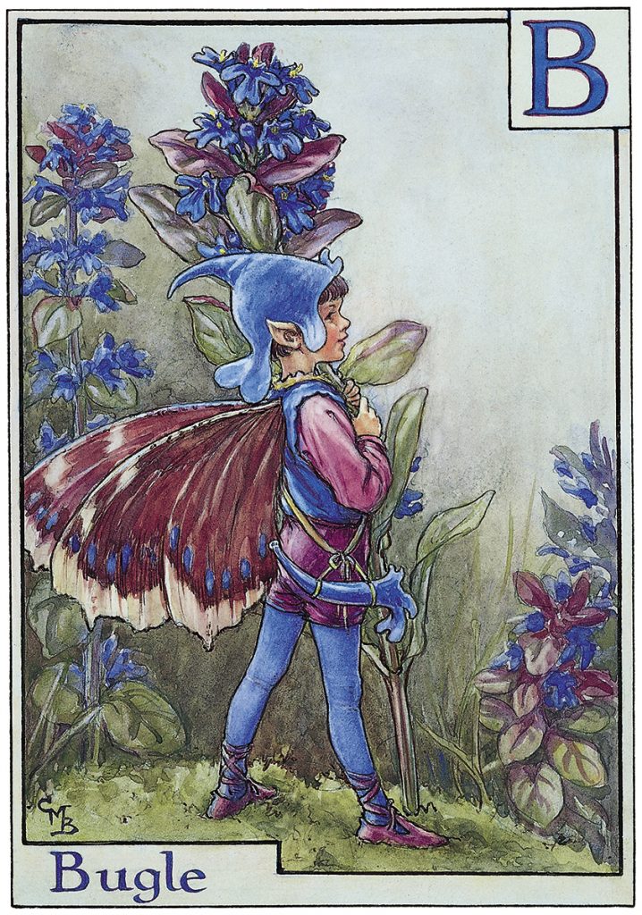 Alphabet Fairies Archives - Flower Fairies