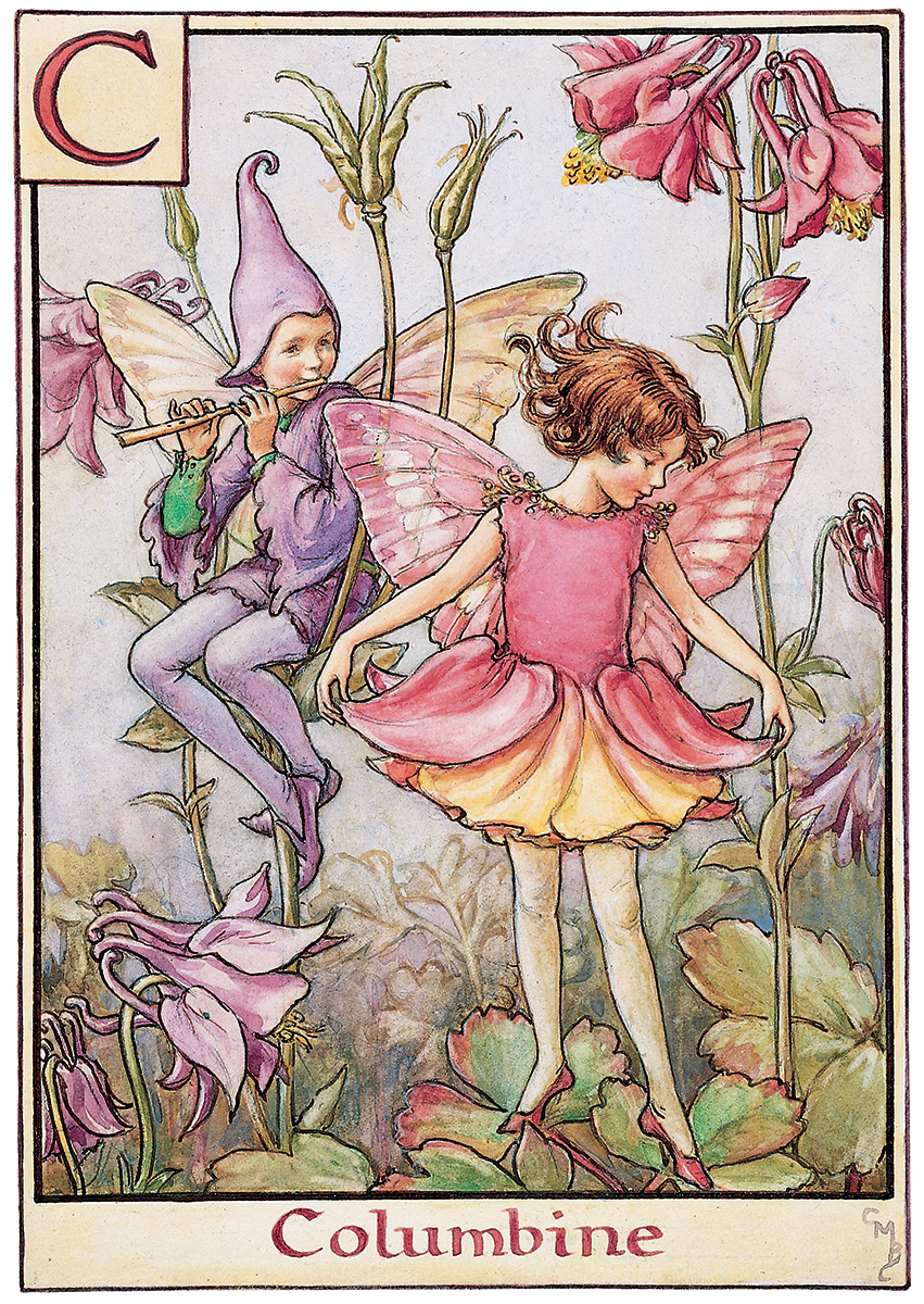 columbine fairy - flower fairies