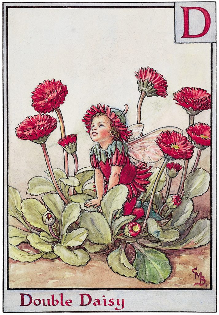 Alphabet Fairies Archives Flower Fairies