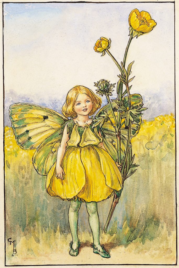 The Buttercup Fairy - Flower Fairies