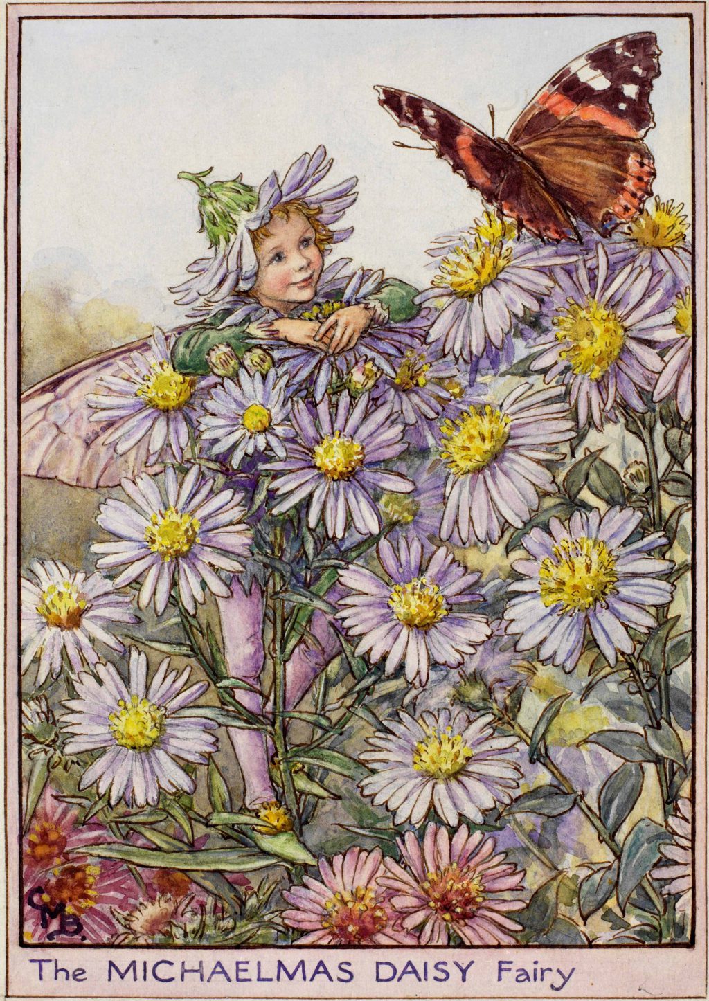 The Michaelmas Daisy Fairy Flower Fairies