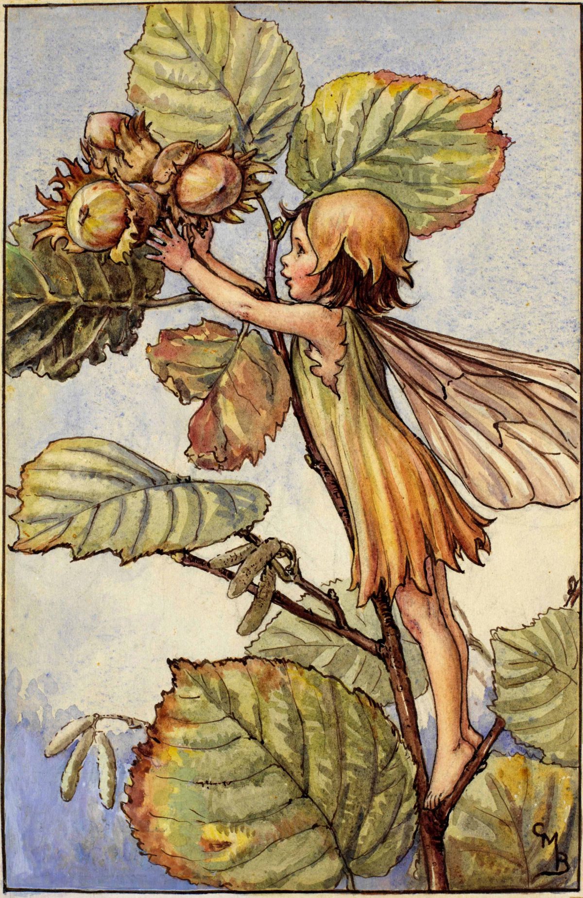 The Fairies of The Autumn Archives - Flower Fairies