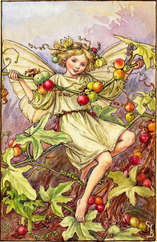 The Fairies of The Autumn Archives - Flower Fairies