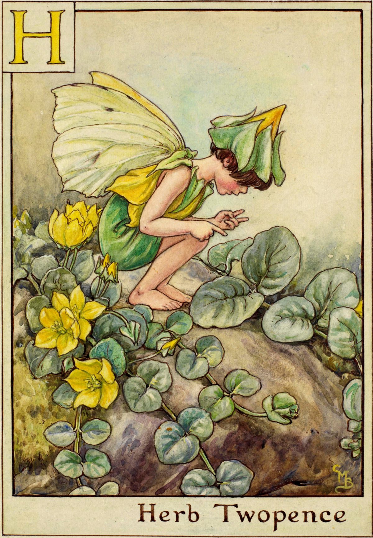 The Herb Twopence Fairy Flower Fairies