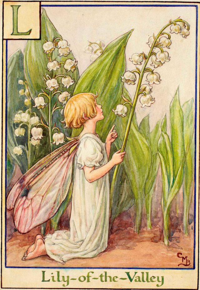 The LilyoftheValley Fairy Flower Fairies