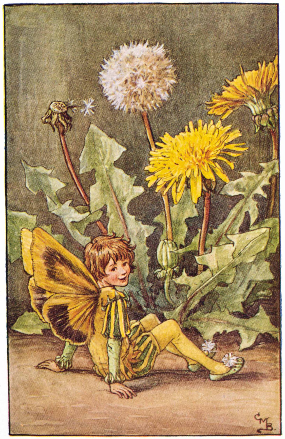 The Dandelion Fairy Flower Fairies