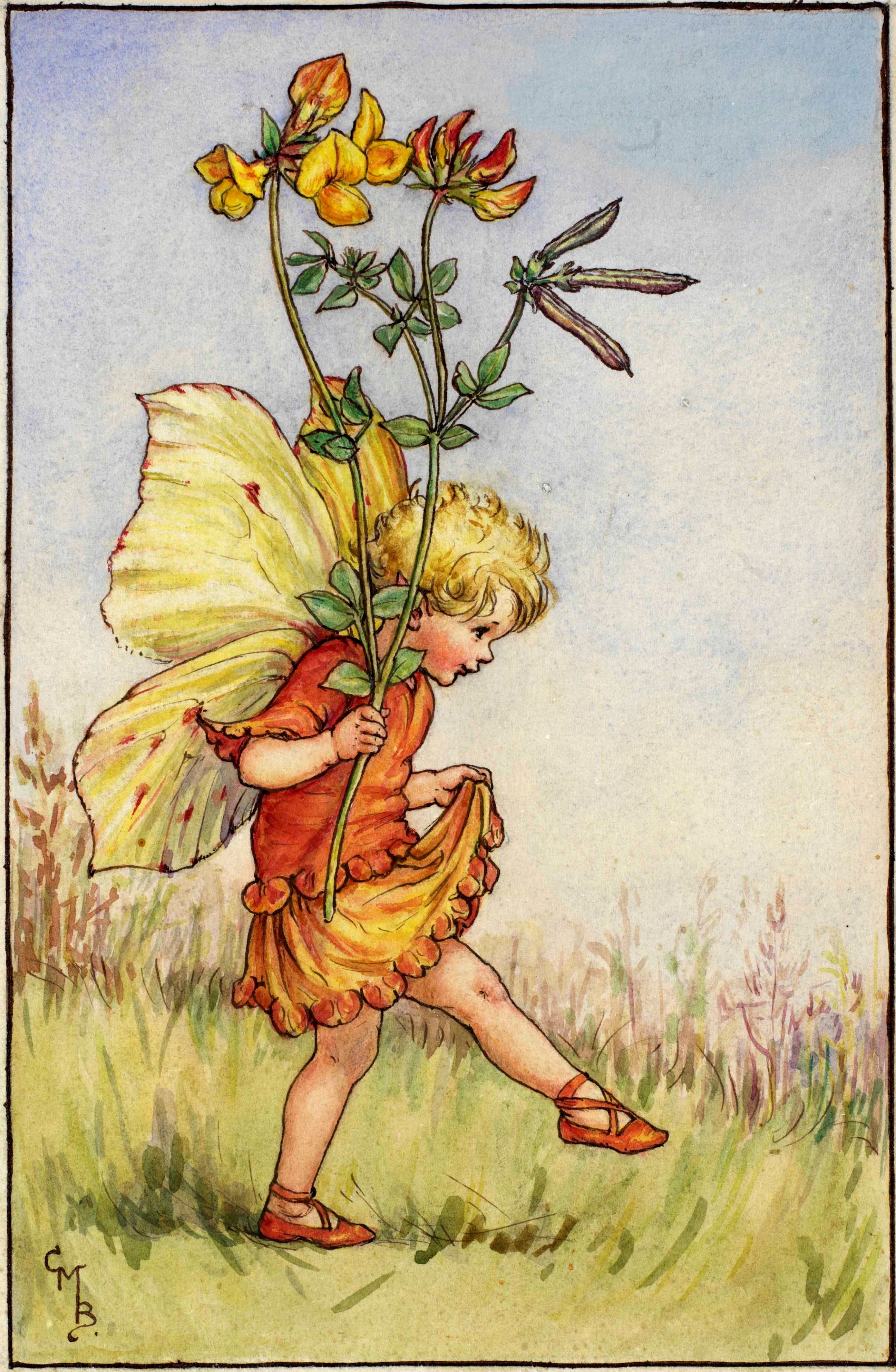 Bird's-foot trefoil flower fairies
