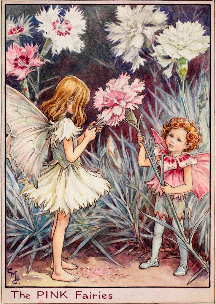 Cicely Mary Barker Flower Fairies Dream Land Characters on Pink Fabric FQ 