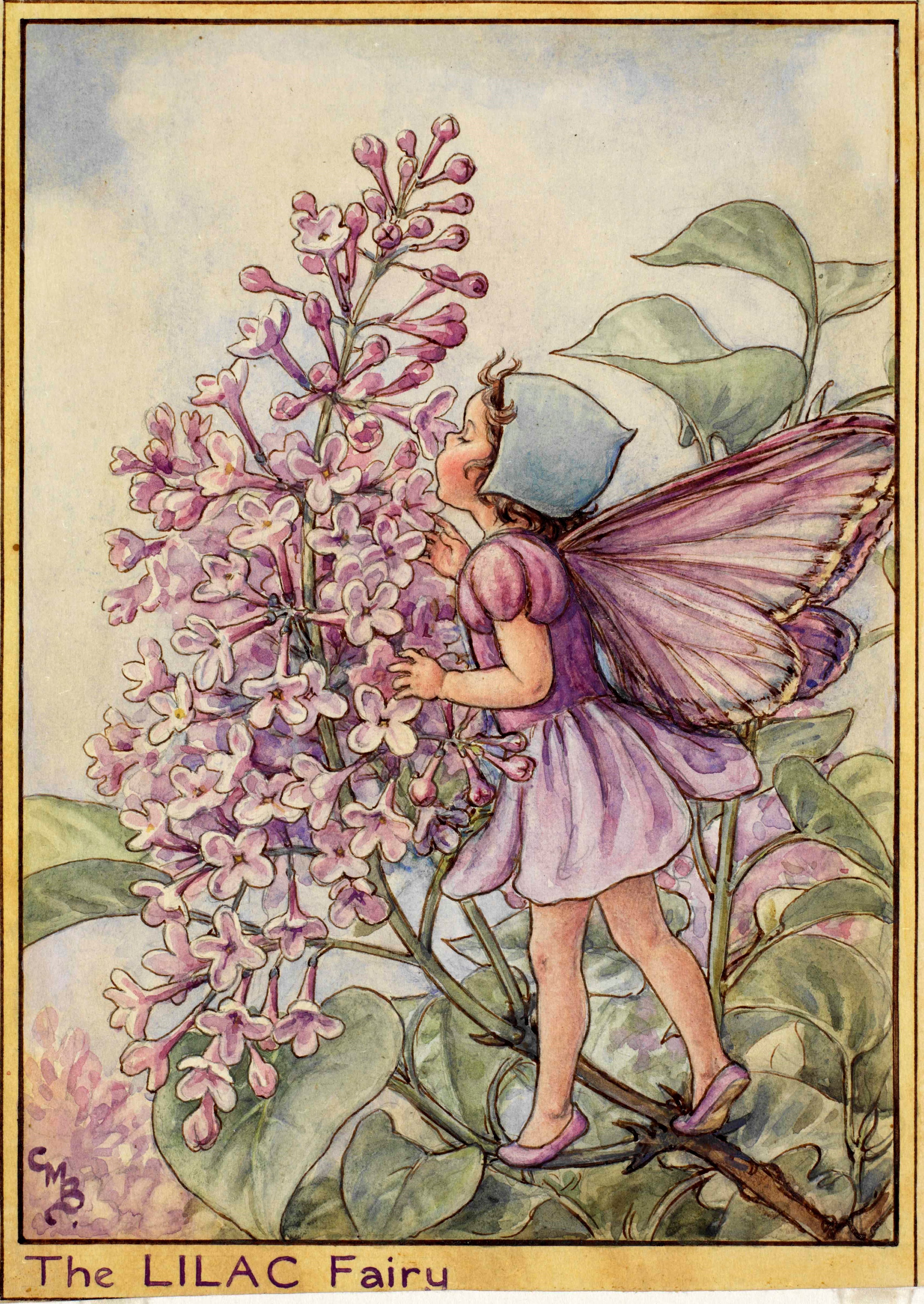 Lilac flower fairies