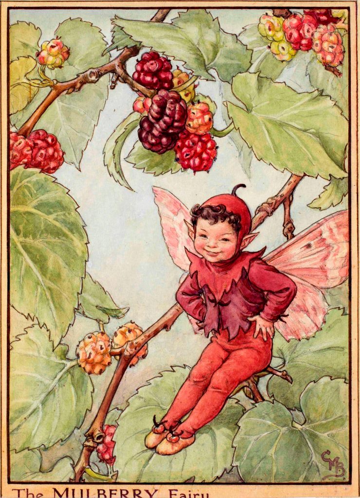 Mulberry flower fairy