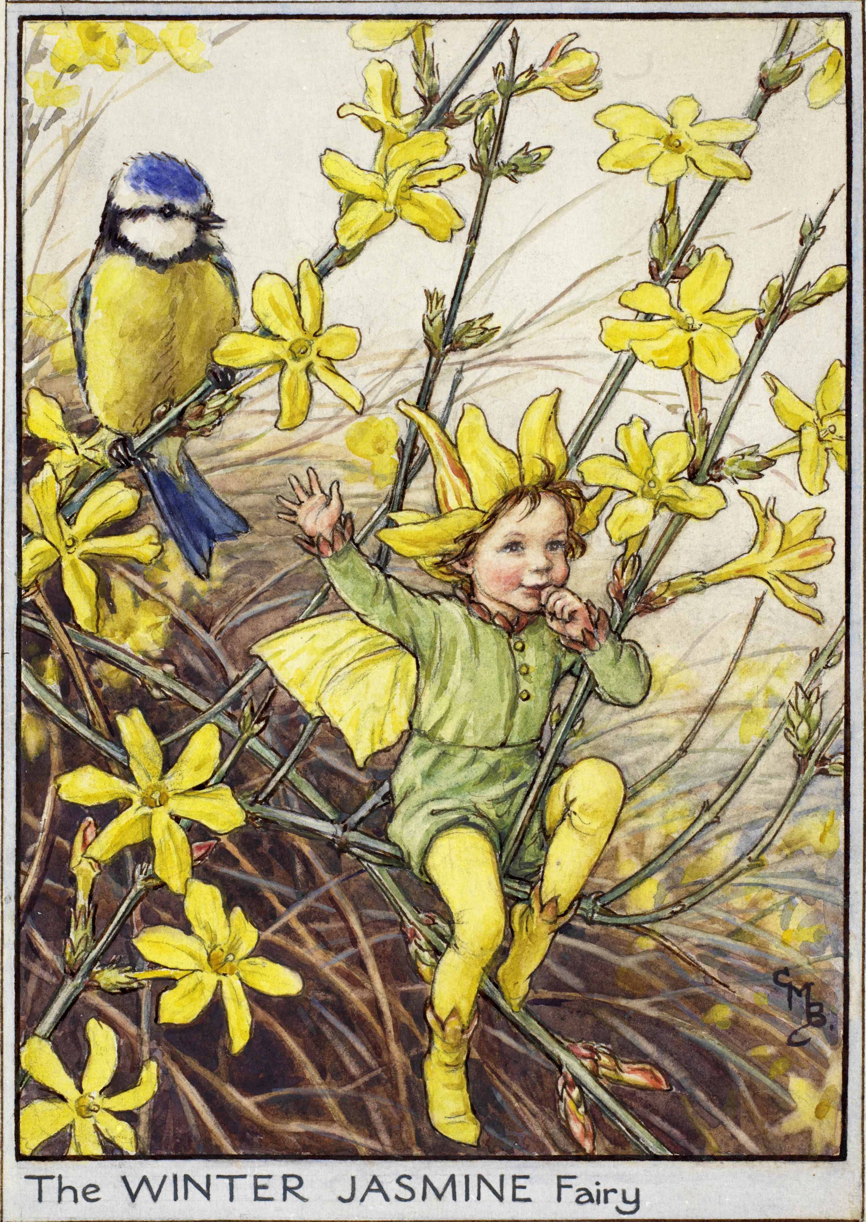 FLOWER FAIRIES POSTCARD ~ WINTER JASMINE FAIRY CECILY MARY BARKER 1944 DESIGN 