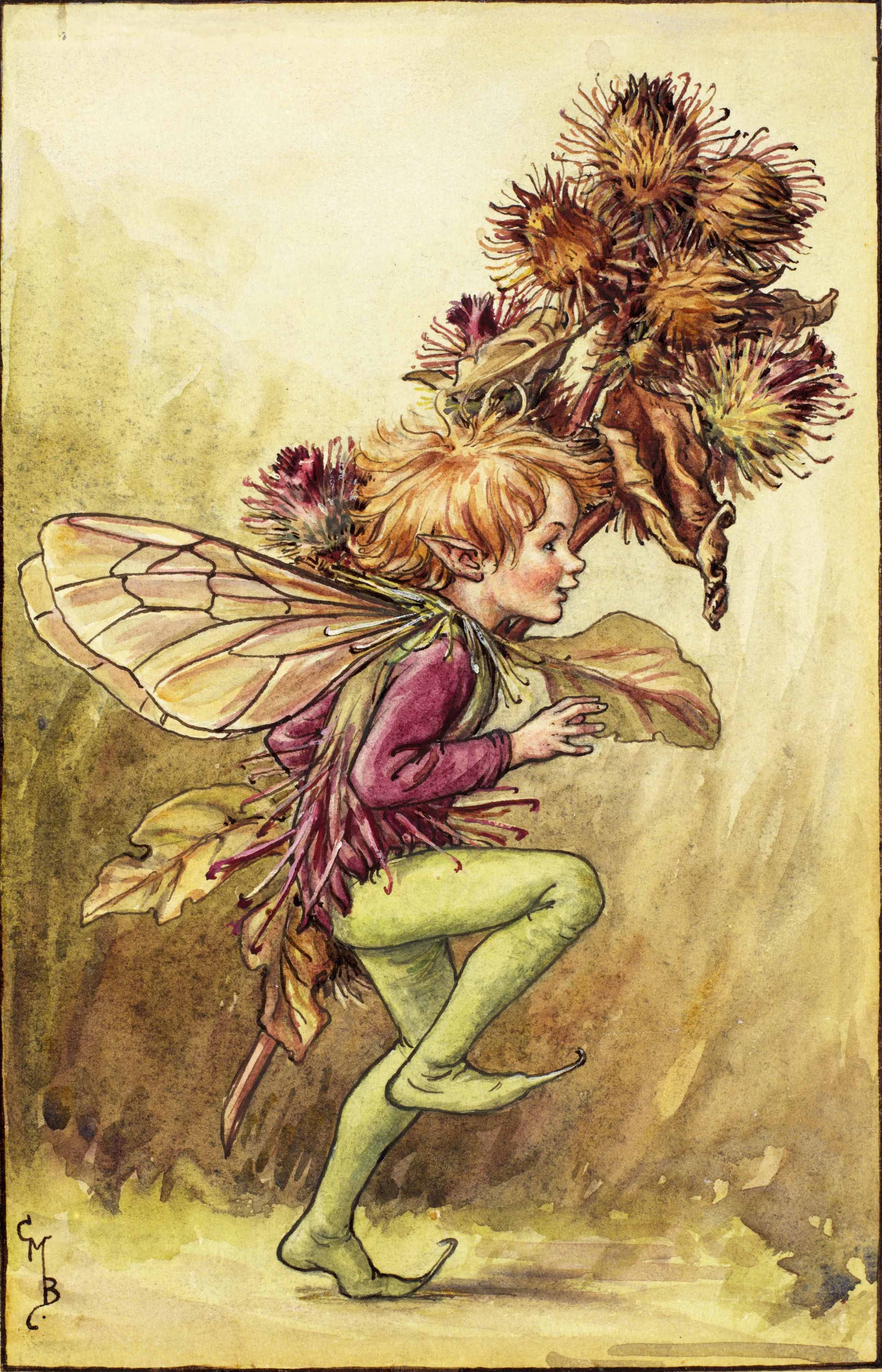 Burdock flower fairies