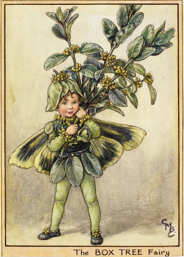 The Fairies of The Winter Archives - Flower Fairies