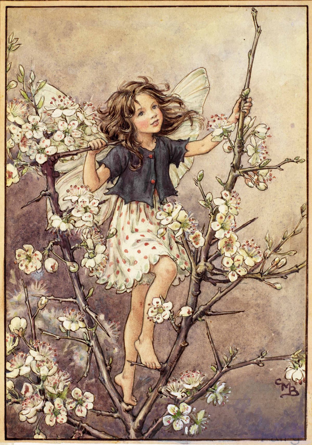 The Blackthorn Fairy - Flower Fairies